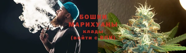 бошки Алексин