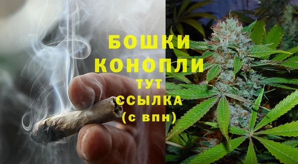 бошки Алексин
