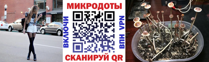 это какой сайт Апрелевка Галлюциногенные грибы Cubensis